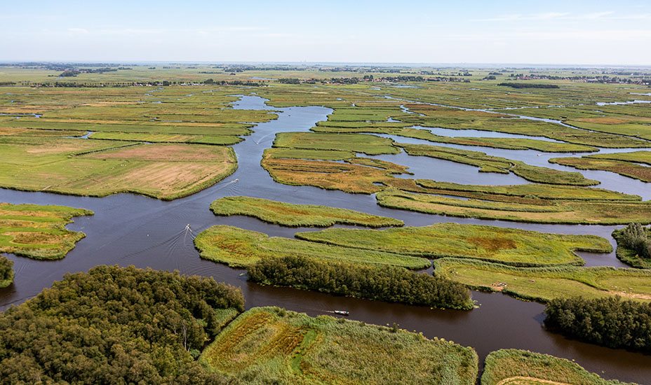 Beeld van Natuurnetwerk Nederland